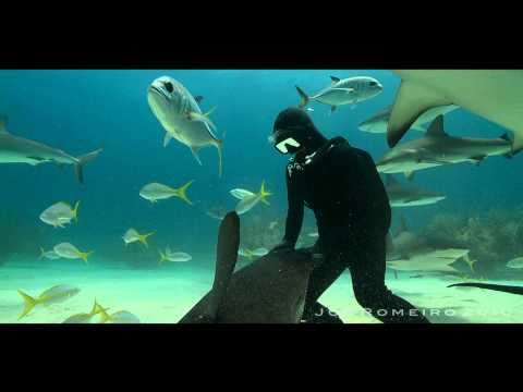 Amazing underwater video, especially if you like Spanish music