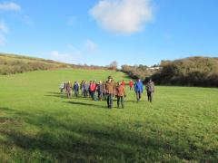 Squib walk - 18/1/2015