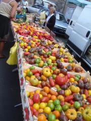 Tréguier market - there are 652 types of tomato registered at the Touraine Tomato Institute