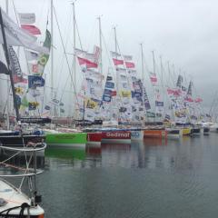 A 'flotte' of Figaros at the end of the Solitaire 2014 edition