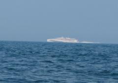 First sighting of Condor Liberation