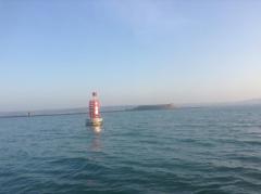 Roches Nord-ouest port hand buoy with Ile Pelee behind at low tide