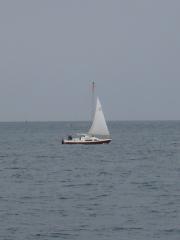 One man and his boat - Peter Rayner and 'Tom Thumb' sailing between Herm and Saint Peter Port, July 2007