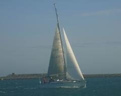 Arcsine arrives at the finish line at D mark