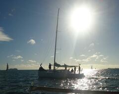 'Tilted' basking in the sunshine before the race