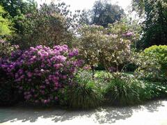 A fine display in the Jardin Emmanuel Liais