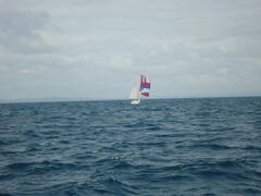'Ella' from CCSC under spinnaker in Lyme bay on the way home