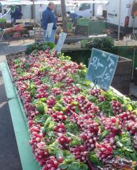 Signs of Spring - radishes in the market at Octeville