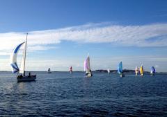 A bay full of spinnakers - and it's December!