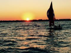 Squibs last thurs sail