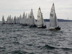 2012 Regatta - Scorpions