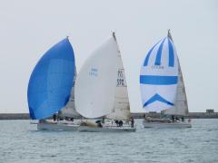 Three kites