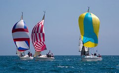 regatta-yachts