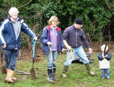 tree_planting